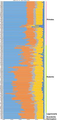 Comparison of the Microsatellite Distribution Patterns in the Genomes of Euarchontoglires at the Taxonomic Level